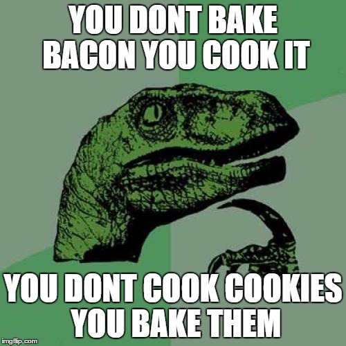 Philosoraptor Meme | YOU DONT BAKE BACON YOU COOK IT; YOU DONT COOK COOKIES YOU BAKE THEM | image tagged in memes,philosoraptor | made w/ Imgflip meme maker