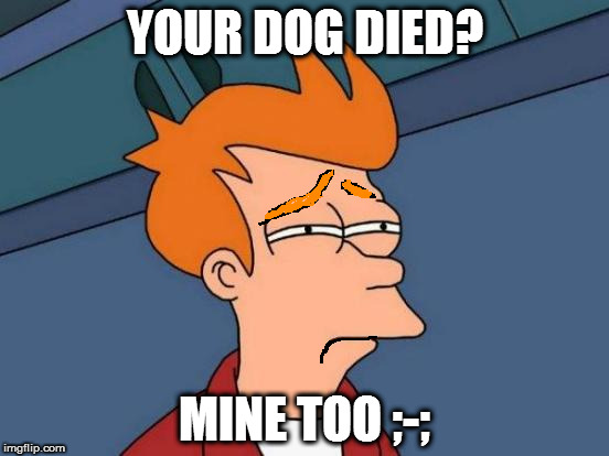Futurama Fry Meme | YOUR DOG DIED? MINE TOO ;-; | image tagged in memes,futurama fry | made w/ Imgflip meme maker