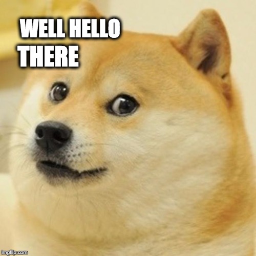 Doge Meme | WELL HELLO; THERE | image tagged in memes,doge | made w/ Imgflip meme maker
