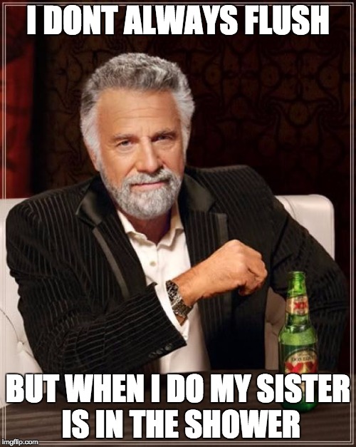 The Most Interesting Man In The World Meme | I DONT ALWAYS FLUSH; BUT WHEN I DO MY SISTER IS IN THE SHOWER | image tagged in memes,the most interesting man in the world | made w/ Imgflip meme maker