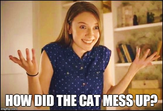 HOW DID THE CAT MESS UP? | made w/ Imgflip meme maker