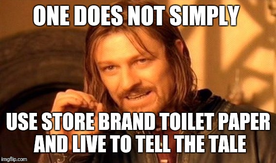 One Does Not Simply Meme | ONE DOES NOT SIMPLY USE STORE BRAND TOILET PAPER AND LIVE TO TELL THE TALE | image tagged in memes,one does not simply | made w/ Imgflip meme maker