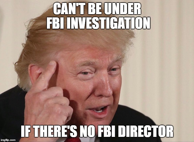 Trump safe | CAN'T BE UNDER FBI INVESTIGATION; IF THERE'S NO FBI DIRECTOR | image tagged in donald trump,meme,roll safe,roll safe trump edition | made w/ Imgflip meme maker