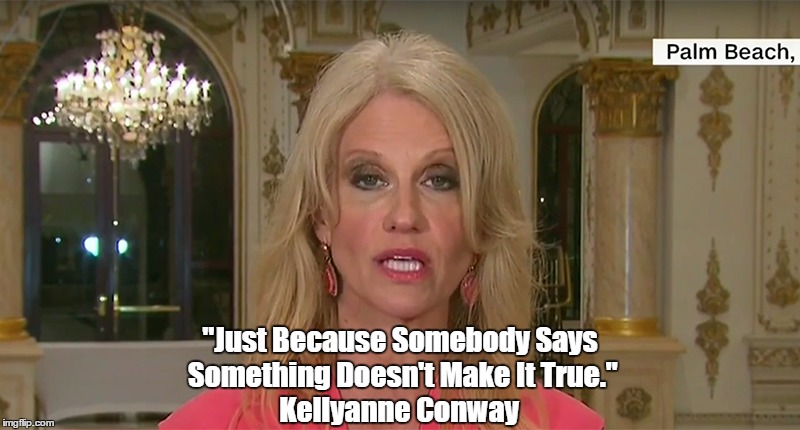 kellyanne conway quote on dossier definition