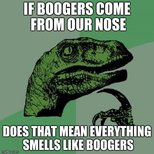 Philosoraptor | IF BOOGERS COME FROM OUR NOSE; DOES THAT MEAN EVERYTHING SMELLS LIKE BOOGERS | image tagged in memes,philosoraptor | made w/ Imgflip meme maker