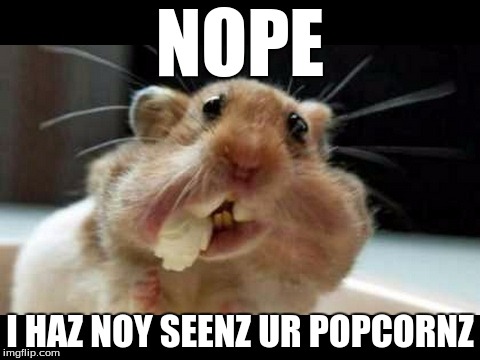 NOPE; I HAZ NOY SEENZ UR POPCORNZ | image tagged in popcorn,thief,hamster | made w/ Imgflip meme maker