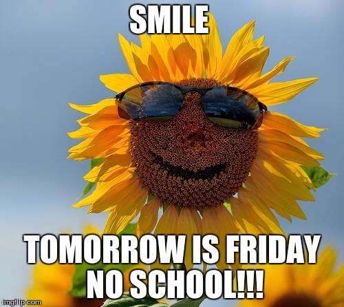 Cool sunflower | SMILE; TOMORROW IS FRIDAY NO SCHOOL!!! | image tagged in cool sunflower | made w/ Imgflip meme maker