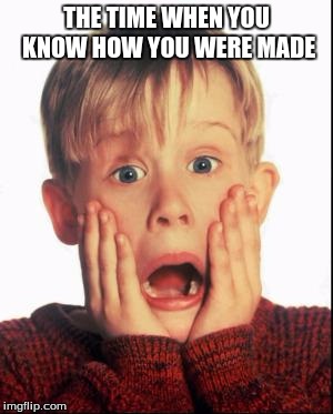 The time when... |  THE TIME WHEN YOU KNOW HOW YOU WERE MADE | image tagged in home alone kid | made w/ Imgflip meme maker