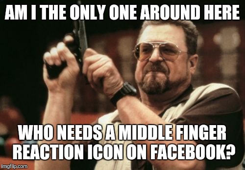 Am I The Only One Around Here Meme | AM I THE ONLY ONE AROUND HERE; WHO NEEDS A MIDDLE FINGER REACTION ICON ON FACEBOOK? | image tagged in memes,am i the only one around here,facebook problems | made w/ Imgflip meme maker