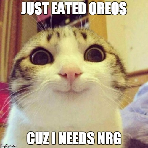 Happy Oreo cat | JUST EATED OREOS; CUZ I NEEDS NRG | image tagged in memes,smiling cat,oreo | made w/ Imgflip meme maker