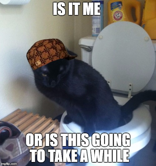 cat toliet | IS IT ME; OR IS THIS GOING TO TAKE A WHILE | image tagged in cat toliet,scumbag | made w/ Imgflip meme maker