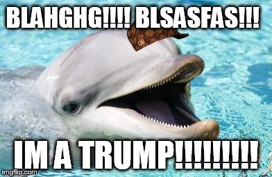 Dumb Joke Dolphin | BLAHGHG!!!! BLSASFAS!!! IM A TRUMP!!!!!!!!! | image tagged in dumb joke dolphin,scumbag | made w/ Imgflip meme maker