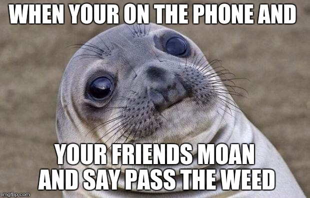 Awkward Moment Sealion | WHEN YOUR ON THE PHONE AND; YOUR FRIENDS MOAN AND SAY PASS THE WEED | image tagged in memes,awkward moment sealion | made w/ Imgflip meme maker