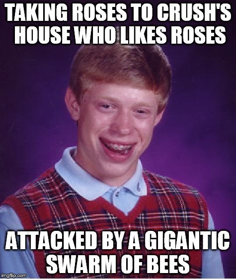 Bad Luck Brian Meme | TAKING ROSES TO CRUSH'S HOUSE WHO LIKES ROSES; ATTACKED BY A GIGANTIC SWARM OF BEES | image tagged in memes,bad luck brian | made w/ Imgflip meme maker