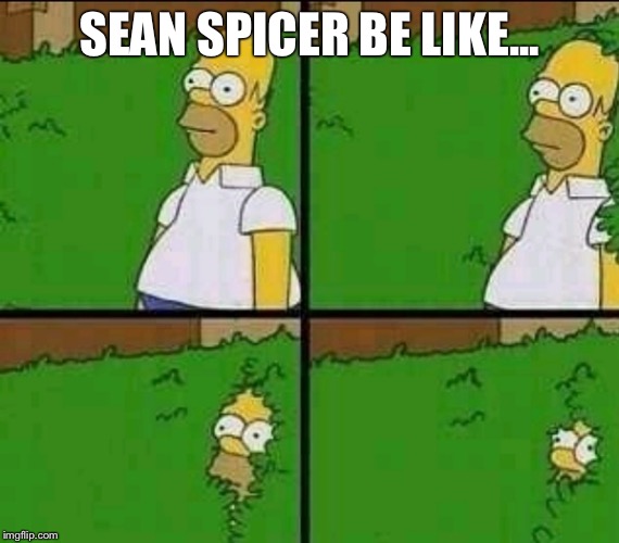 SEAN SPICER BE LIKE... | image tagged in sean spicer | made w/ Imgflip meme maker