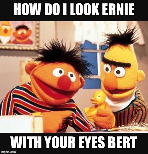 Why our generation is so sarcastic | HOW DO I LOOK ERNIE; WITH YOUR EYES BERT | image tagged in funny meme,sesame street | made w/ Imgflip meme maker