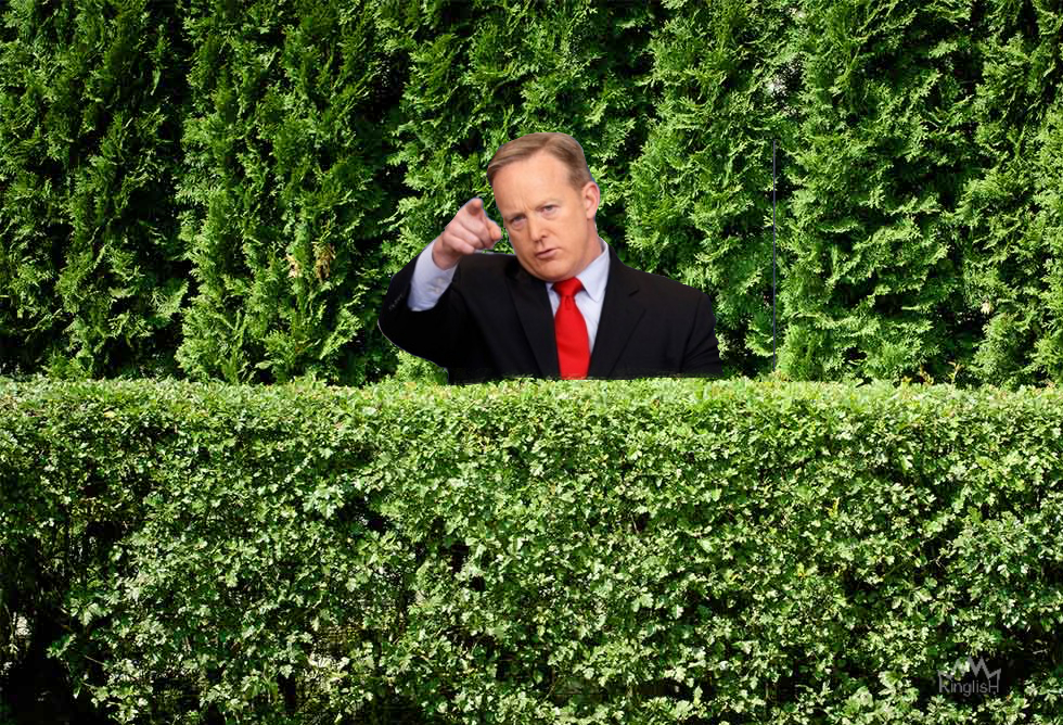 Spicer bush Blank Meme Template