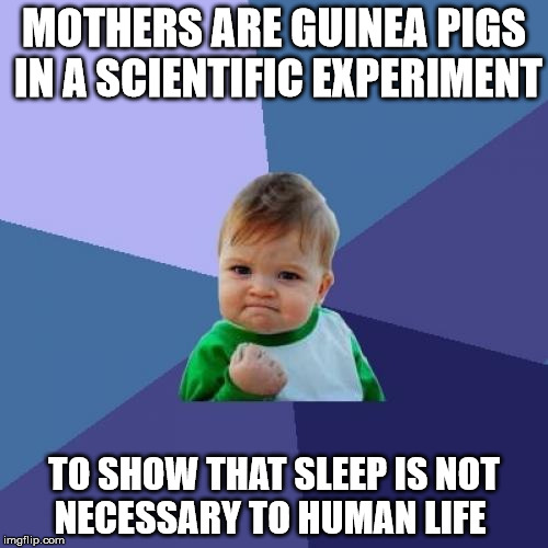 Success Kid Meme | MOTHERS ARE GUINEA PIGS IN A SCIENTIFIC EXPERIMENT; TO SHOW THAT SLEEP IS NOT NECESSARY TO HUMAN LIFE | image tagged in memes,success kid | made w/ Imgflip meme maker