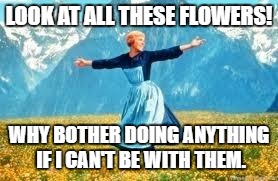 Look At All These Meme | LOOK AT ALL THESE FLOWERS! WHY BOTHER DOING ANYTHING IF I CAN'T BE WITH THEM. | image tagged in memes,look at all these | made w/ Imgflip meme maker