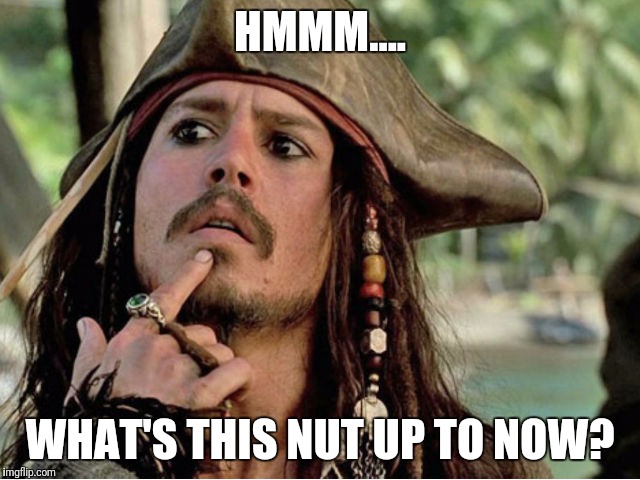 jack sparrow | HMMM.... WHAT'S THIS NUT UP TO NOW? | image tagged in jack sparrow | made w/ Imgflip meme maker