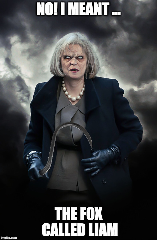THERESA MAY | NO! I MEANT ... THE FOX CALLED LIAM | image tagged in theresa may | made w/ Imgflip meme maker