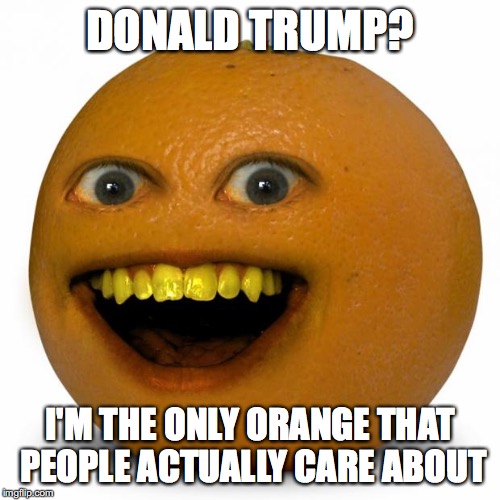 Annoying Orange | DONALD TRUMP? I'M THE ONLY ORANGE THAT PEOPLE ACTUALLY CARE ABOUT | image tagged in annoying orange | made w/ Imgflip meme maker