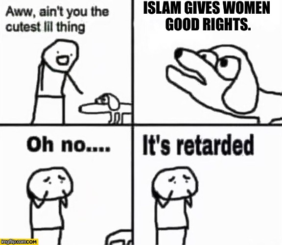 Oh no it's retarded! | ISLAM GIVES WOMEN GOOD RIGHTS. | image tagged in oh no it's retarded | made w/ Imgflip meme maker