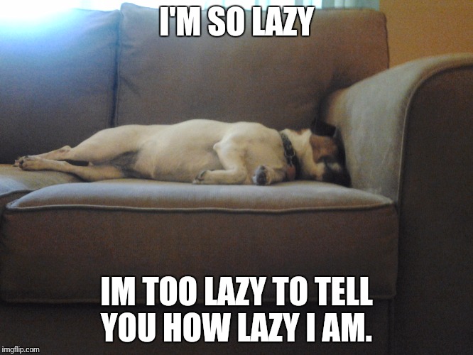 Sleepy Dog | I'M SO LAZY; IM TOO LAZY TO TELL YOU HOW LAZY I AM. | image tagged in sleepy dog | made w/ Imgflip meme maker
