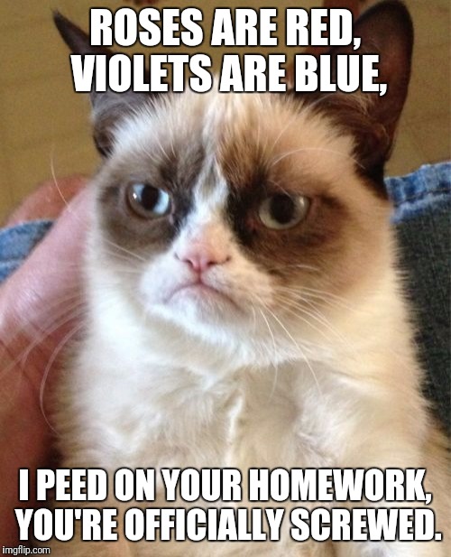 Grumpy Cat | ROSES ARE RED, VIOLETS ARE BLUE, I PEED ON YOUR HOMEWORK, YOU'RE OFFICIALLY SCREWED. | image tagged in memes,grumpy cat | made w/ Imgflip meme maker
