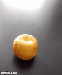 ciclopofante | image tagged in gifs | made w/ Imgflip images-to-gif maker