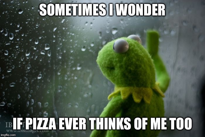 kermit window | SOMETIMES I WONDER; IF PIZZA EVER THINKS OF ME TOO | image tagged in kermit window | made w/ Imgflip meme maker