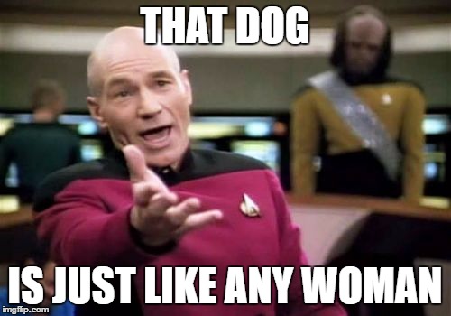 THAT DOG IS JUST LIKE ANY WOMAN | image tagged in memes,picard wtf | made w/ Imgflip meme maker