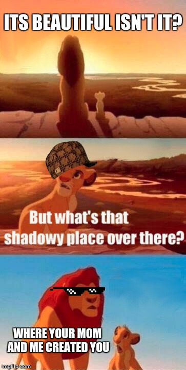 Simba Shadowy Place Meme | ITS BEAUTIFUL ISN'T IT? WHERE YOUR MOM AND ME CREATED YOU | image tagged in memes,simba shadowy place,scumbag | made w/ Imgflip meme maker