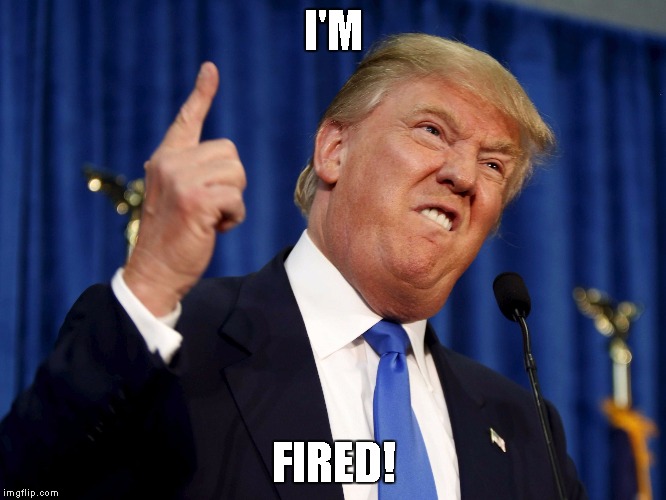 I'M; FIRED! | image tagged in janine | made w/ Imgflip meme maker