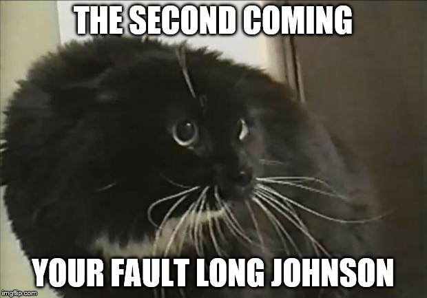 oh long Johnson | THE SECOND COMING; YOUR FAULT LONG JOHNSON | image tagged in oh long johnson | made w/ Imgflip meme maker
