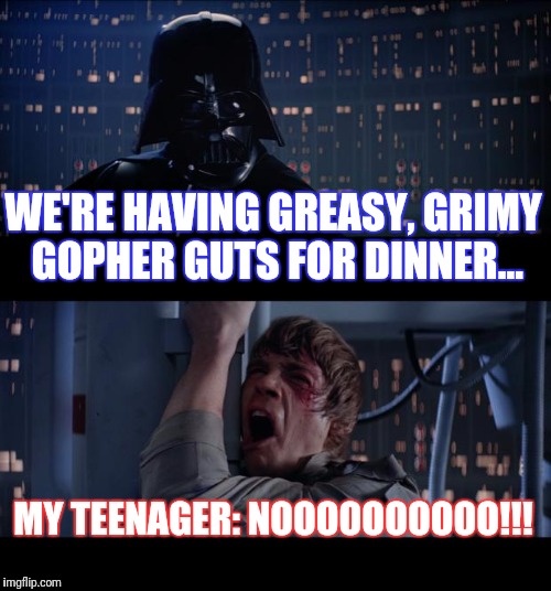Star Wars No | WE'RE HAVING GREASY, GRIMY GOPHER GUTS FOR DINNER... MY TEENAGER:
NOOOOOOOOOO!!! | image tagged in memes,star wars no | made w/ Imgflip meme maker