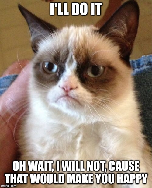 Grumpy Cat Meme | I'LL DO IT OH WAIT, I WILL NOT, CAUSE THAT WOULD MAKE YOU HAPPY | image tagged in memes,grumpy cat | made w/ Imgflip meme maker