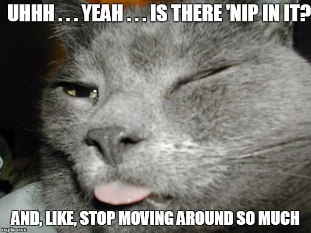 UHHH . . . YEAH . . . IS THERE 'NIP IN IT? AND, LIKE, STOP MOVING AROUND SO MUCH | made w/ Imgflip meme maker