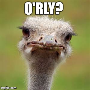 osterage | O'RLY? | image tagged in osterage | made w/ Imgflip meme maker