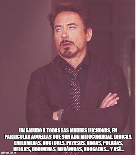 iron man eye roll | UN SALUDO A TODAS LAS MADRES LUCHONAS, EN PARTICULAR AQUELLAS QUE SON ADN MITOCONDRIAL, DIOICAS, ENFERMERAS, DOCTORES, PAYASOS, NINJAS, POLICÍAS, RELOJES, COCINERAS, MECÁNICAS, ABOGADAS… Y ASÍ… | image tagged in iron man eye roll | made w/ Imgflip meme maker