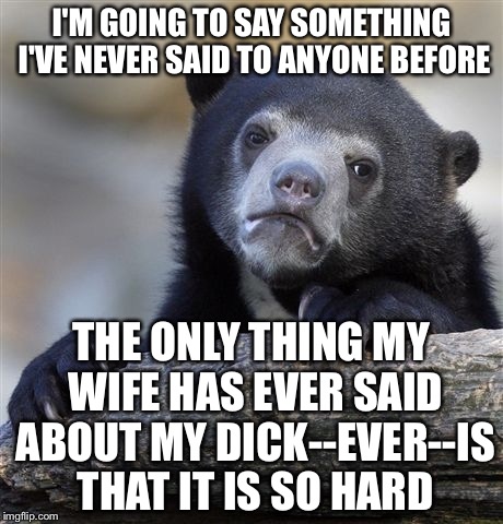 Confession Bear Meme | I'M GOING TO SAY SOMETHING I'VE NEVER SAID TO ANYONE BEFORE THE ONLY THING MY WIFE HAS EVER SAID ABOUT MY DICK--EVER--IS THAT IT IS SO HARD | image tagged in memes,confession bear | made w/ Imgflip meme maker