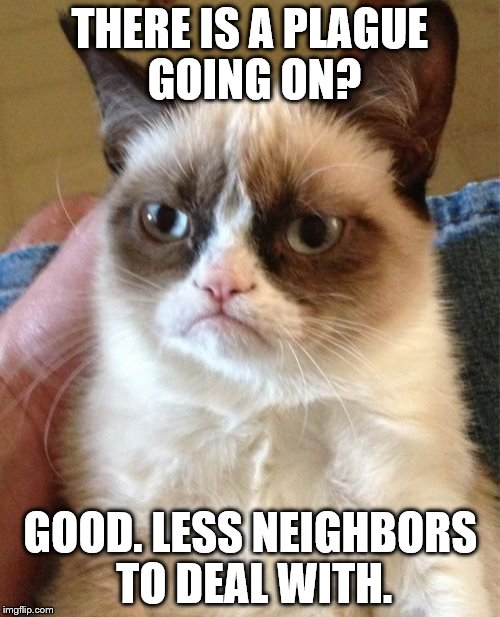 Grumpy Cat | THERE IS A PLAGUE GOING ON? GOOD. LESS NEIGHBORS TO DEAL WITH. | image tagged in memes,grumpy cat | made w/ Imgflip meme maker