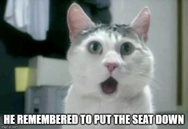 OMG Cat Meme | HE REMEMBERED TO PUT THE SEAT DOWN | image tagged in memes,omg cat | made w/ Imgflip meme maker