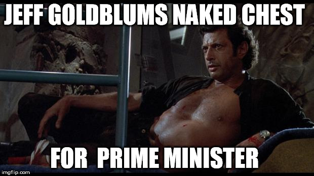 jeff goldblum | JEFF GOLDBLUMS NAKED CHEST; FOR  PRIME MINISTER | image tagged in jeff goldblum | made w/ Imgflip meme maker