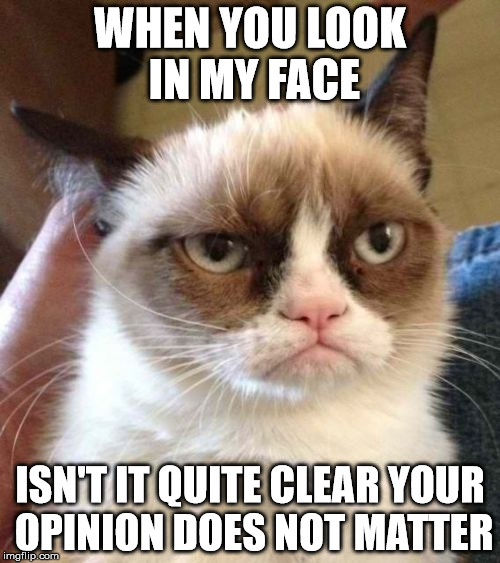 Grumpy Cat Reverse | WHEN YOU LOOK IN MY FACE; ISN'T IT QUITE CLEAR YOUR OPINION DOES NOT MATTER | image tagged in memes,grumpy cat reverse,grumpy cat | made w/ Imgflip meme maker