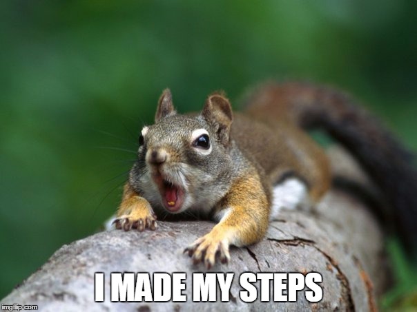 I Made My Steps | I MADE MY STEPS | image tagged in made,steps,funny,squirrel,cute animals,fitbit | made w/ Imgflip meme maker