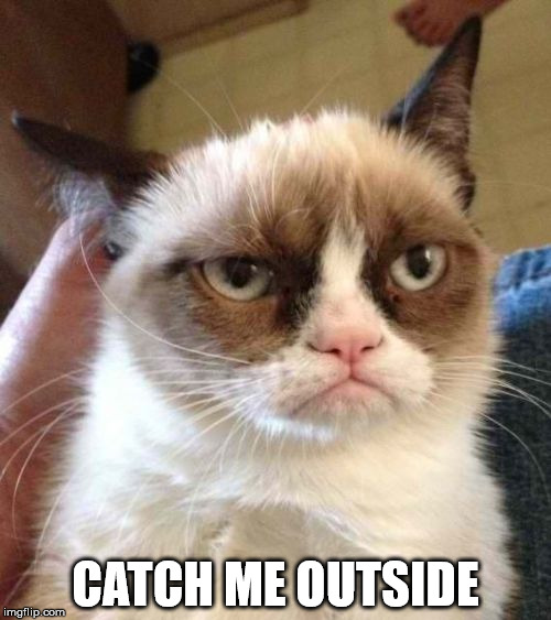 Grumpy Cat Reverse Meme | CATCH ME OUTSIDE | image tagged in memes,grumpy cat reverse,grumpy cat | made w/ Imgflip meme maker