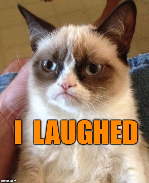 Grumpy Cat Meme | I  LAUGHED | image tagged in memes,grumpy cat | made w/ Imgflip meme maker