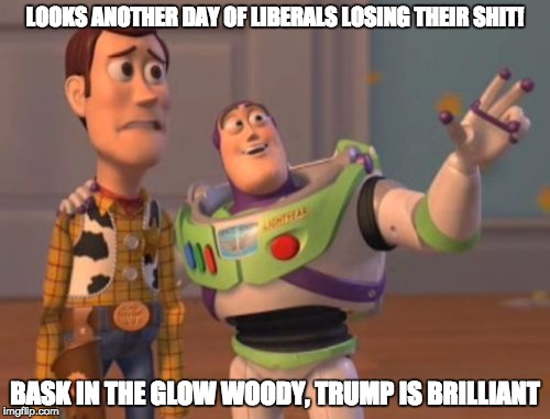 X, X Everywhere Meme | LOOKS ANOTHER DAY OF LIBERALS LOSING THEIR SHIT! BASK IN THE GLOW WOODY, TRUMP IS BRILLIANT | image tagged in memes,x x everywhere | made w/ Imgflip meme maker