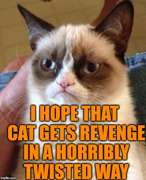 Grumpy Cat Meme | I HOPE THAT CAT GETS REVENGE IN A HORRIBLY TWISTED WAY | image tagged in memes,grumpy cat | made w/ Imgflip meme maker